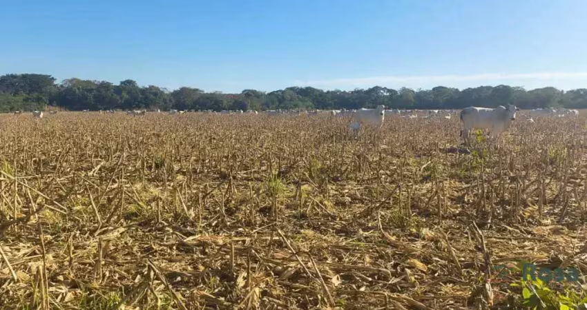 Fazenda para venda, rosário oeste, mt - 630 hectares - fa8218