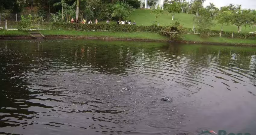 Terreno para venda zona rural santo antônio do leverger - 16575