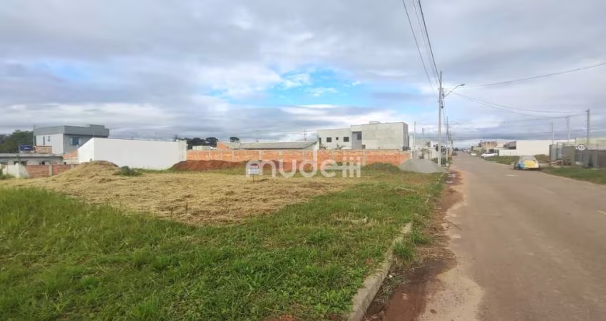 Terreno Residencial/Comercial - Pronto para construir Barro Preto