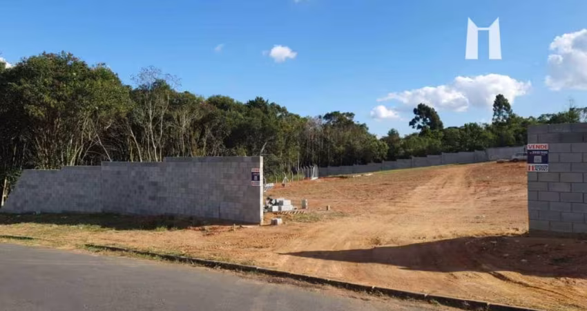 Terreno à venda, 390 m² por R$ 410.000,00 - Vila Delurdes - Campo Largo/PR