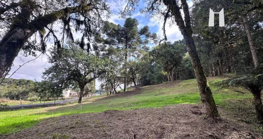 Terreno à venda, 3796 m² por R$ 399.990,00 - Botiatuva - Campo Largo/PR