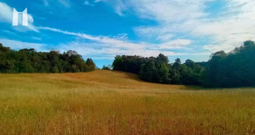Área à venda, 96800 m² por r$ 2.400.000,00 - rondinha - campo largo/pr