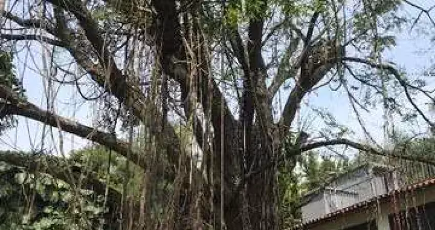 Terreno à venda na Avenida Giovanni Gronchi, 911, Vila Andrade, São Paulo