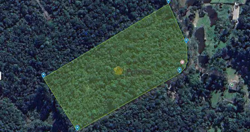 Chácara com 1 dormitório à venda, 22000 m² por r$ 550.000,00 - dos finco - são bernardo do campo/sp