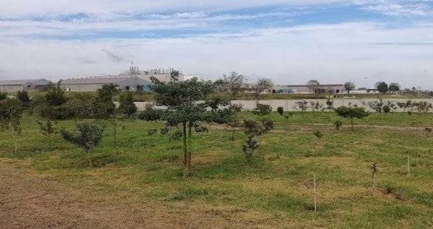 Terreno à venda, 250 m² por R$ 350.000,00 - Jardim das Flores - São José dos Campos/SP