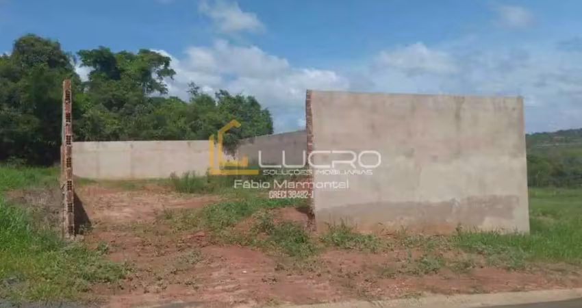 Terreno à venda no Vale do Igapó, Pederneiras 
