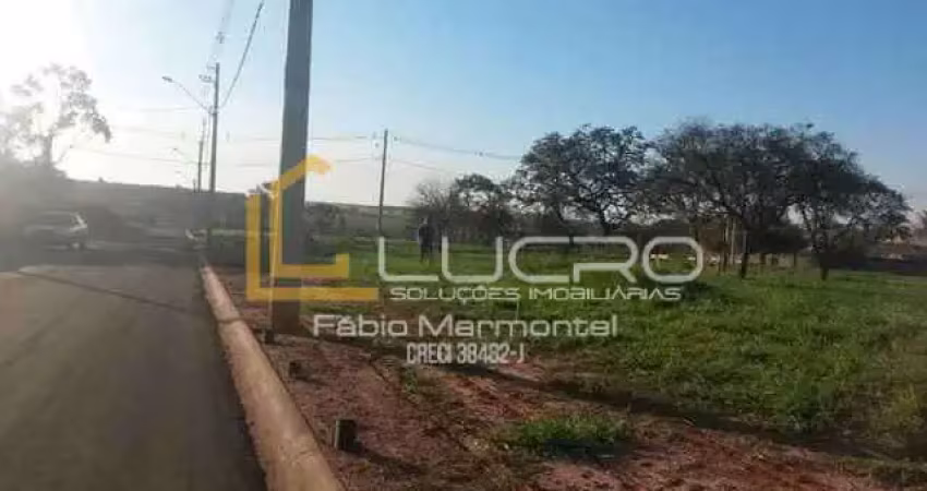 Terreno à venda no Vale do Igapó, Pederneiras 