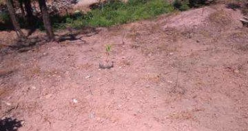 VENDA DE TERRENO NA GRANJA URUPÊS, EM ARUJÁ/SP, OPORTUNIDADE DE 500m² com leve declive e frente para duas ruas. CONSULTE-NOS.