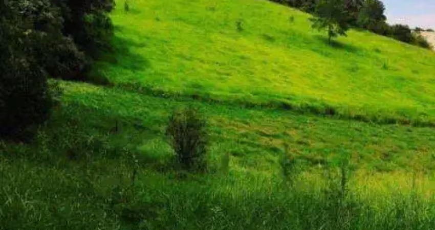 Venda de área / terreno localizado no bairro jacarandas a/t 20.000m² é uma área de quase vinte mil metros, sem preservação ambiental. consulte-nos.