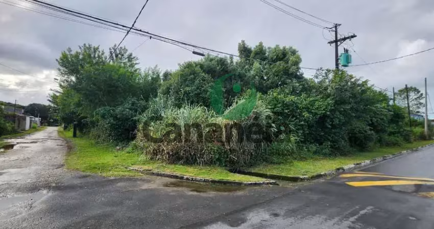 Terreno para venda no retiro das caravelas - cananéia - sp