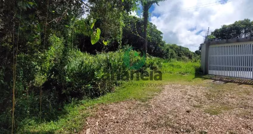 Terreno para venda, com licenciamento ambiental em andamento no retiro das caravelas em cananéia-sp