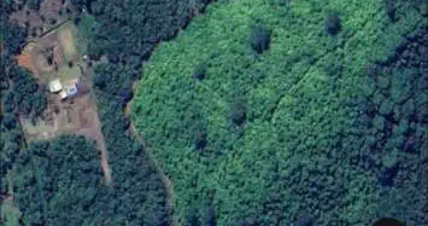 Fazenda à venda no Centro, Antonina 