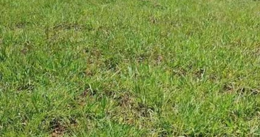 Lote / Terreno de Condomínio Para Vender no bairro Portal Serra Azul em Mateus Leme
