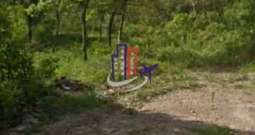 Lote / Terreno Comercial Para Vender no bairro Castelo Branco em Juatuba