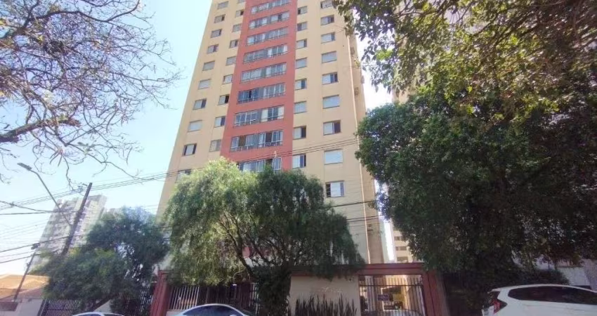 Apartamento 3 dormitorios. Sol da manhã. Londrina - PR