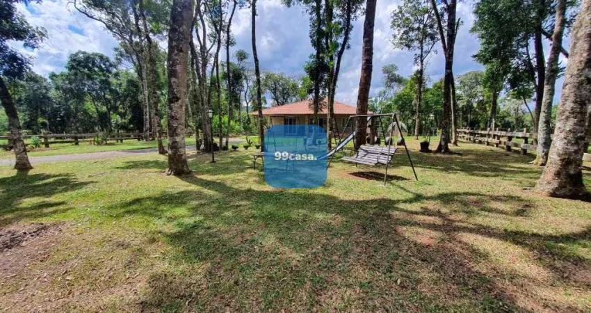 Haras à venda com 70.000 m  e casa construída em Lapa PR