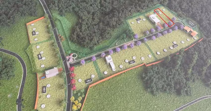 Terreno com fundos para o bosque no alphaville paraná  campo largo