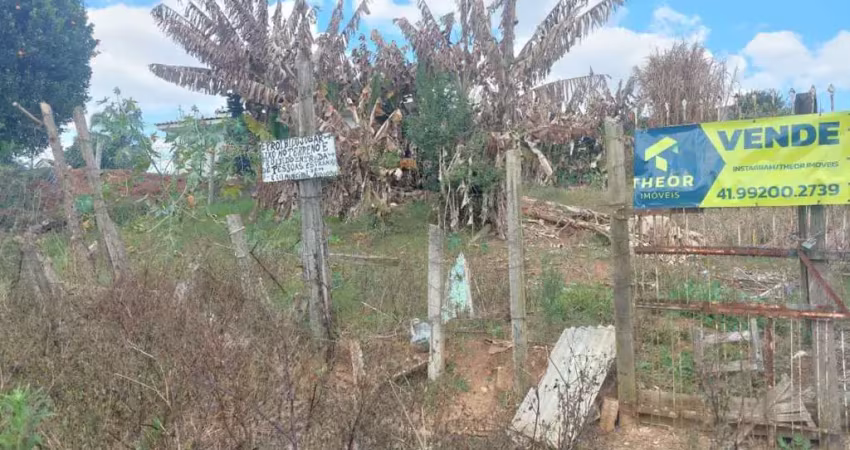 Terreno à venda na Rua Cactus, 229, Campina da Barra, Araucária