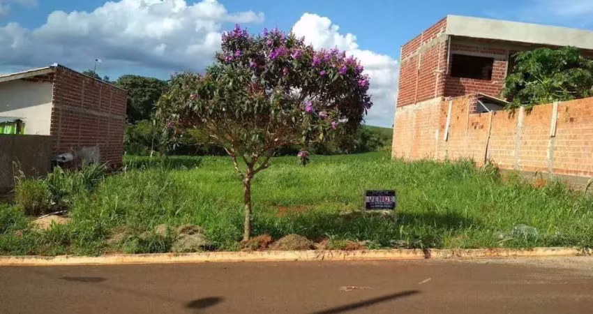Terreno à venda, 347 m² por r$ 100.000,00 - jardim nova floresta - floresta/pr