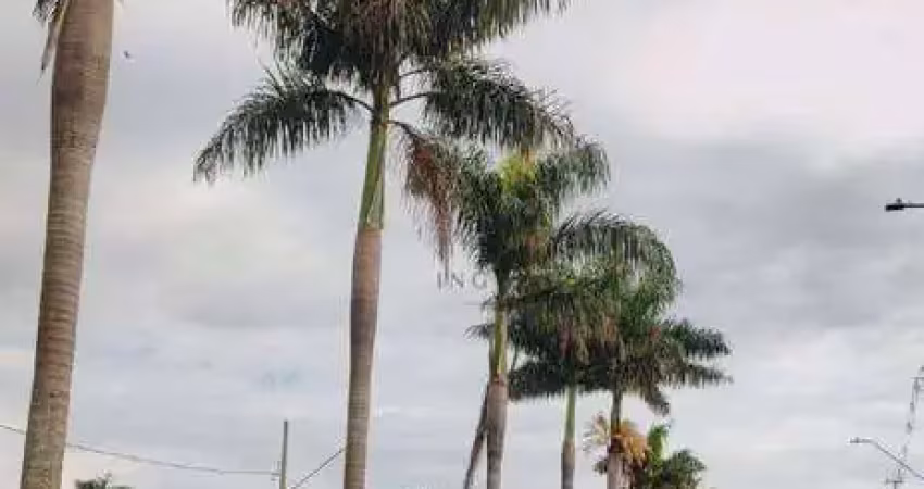 Terreno à venda, 320 m² por r$ 110.000,00 - jardim nova floresta - floresta/pr