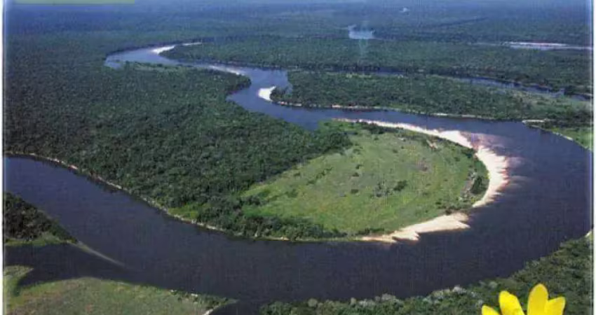 Fazenda à venda, 993 hectares por r$ 10.000.000 - zona rural - vila bela da santíssima trindade/mt