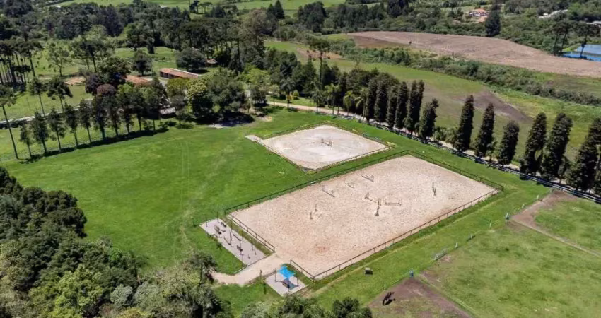 Haras à venda, 227550 m² por r$ 20.000.000,00 - colônia murici - são josé dos pinhais/pr