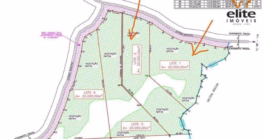 Chácara à venda, 20000 m² por R$ 200.000,00 - Zona Rural - Bocaiúva do Sul/PR