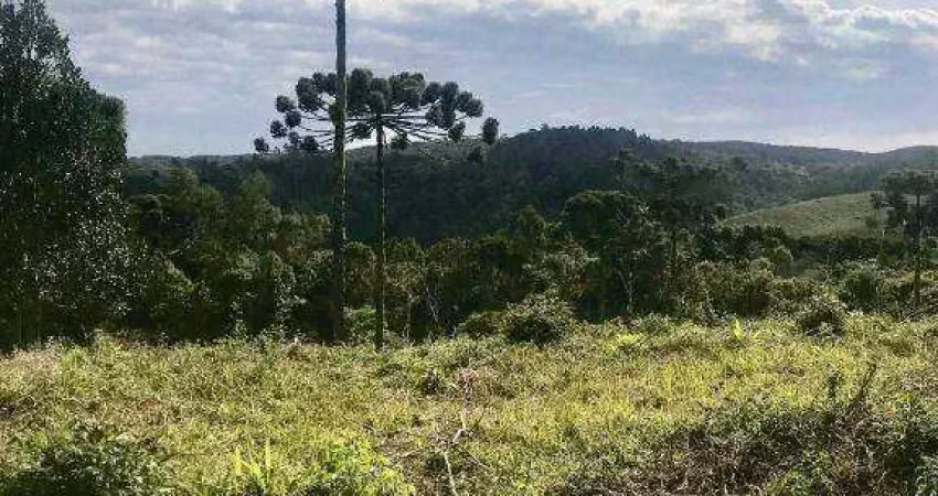 Chácara à venda, 20000 m² por r$ 200.000,00 - centro - bocaiúva do sul/pr