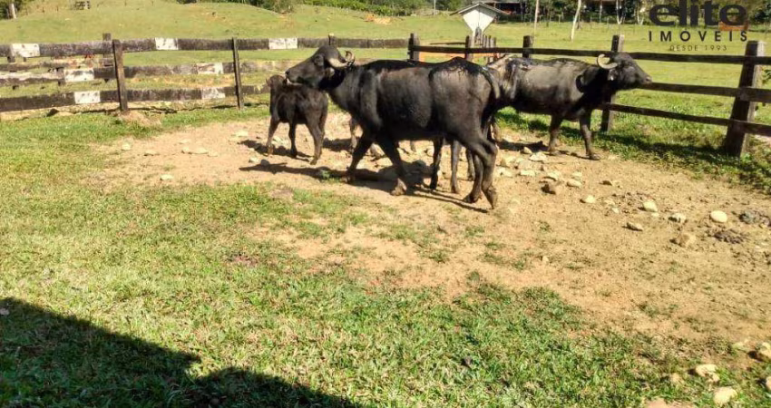 Fazenda à venda, 4300000 m² por R$ 3.000.000,00 - Tagaçaba de Cima - Guaraqueçaba/PR