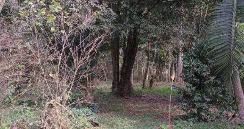 Terreno à venda, 2494 m² por r$ 160.000 - areia branca dos assis - mandirituba/pr