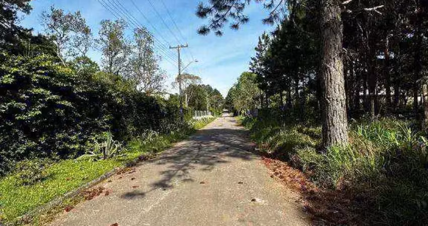 Terreno à venda na Rua Manoel Pereira da Silva, 637, Parque das Nascentes, Pinhais