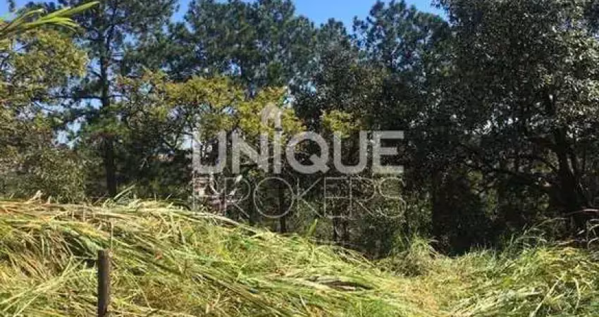 Lote/Terreno, Vila Souza - Várzea Paulista