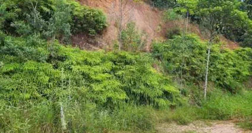 Terreno à venda no Águas Claras, Brusque 