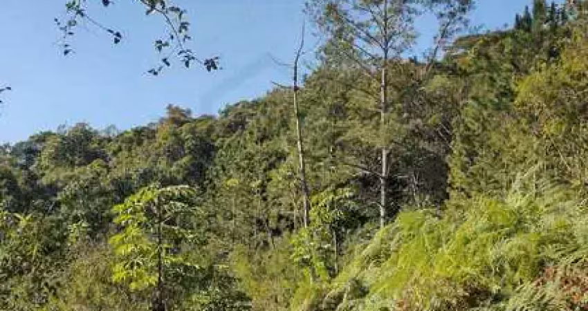 Terreno à venda no Primeiro de Maio, Brusque 