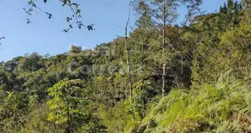 Terreno à venda no Primeiro de Maio, Brusque 