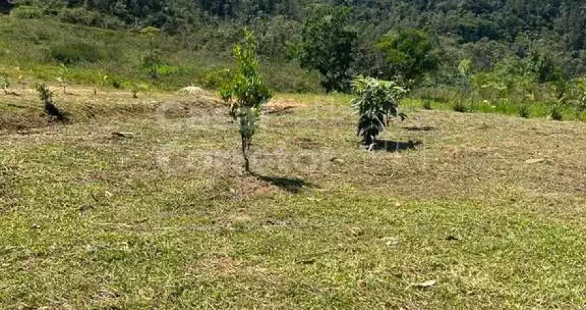 Fazenda à venda no Lageado Alto, Guabiruba 