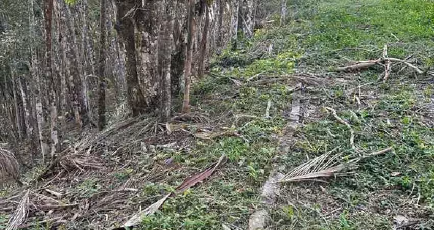 Terreno à venda no Azambuja, Brusque 