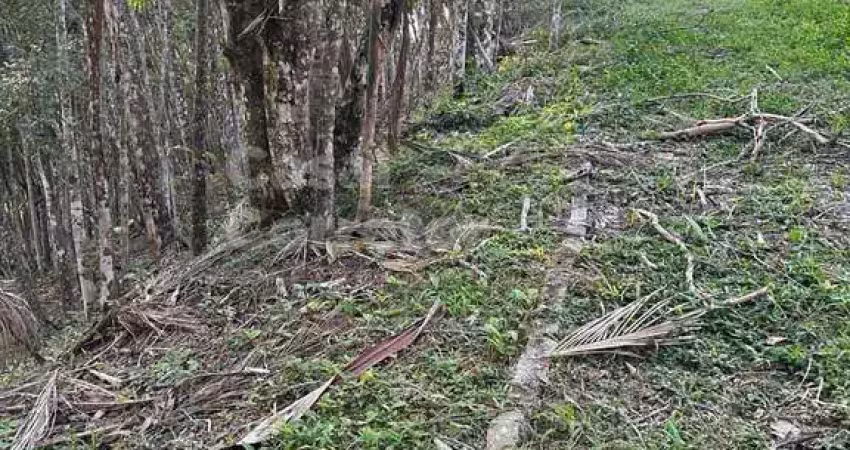 Terreno à venda no Azambuja, Brusque 