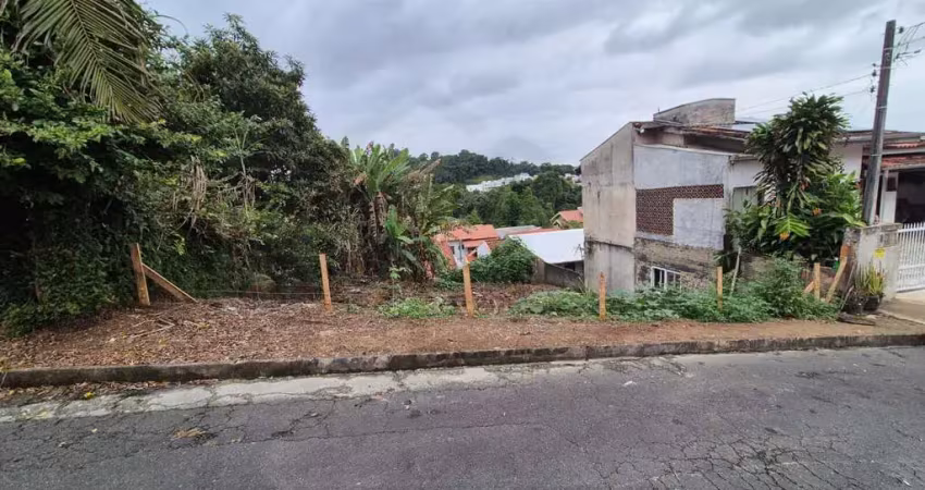 Terreno 312m² em rua asfaltada e livre de enchentes