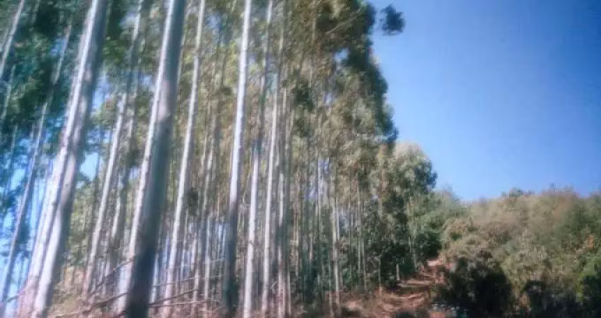 Fazendas para venda em monte verde no bairro não especificado
