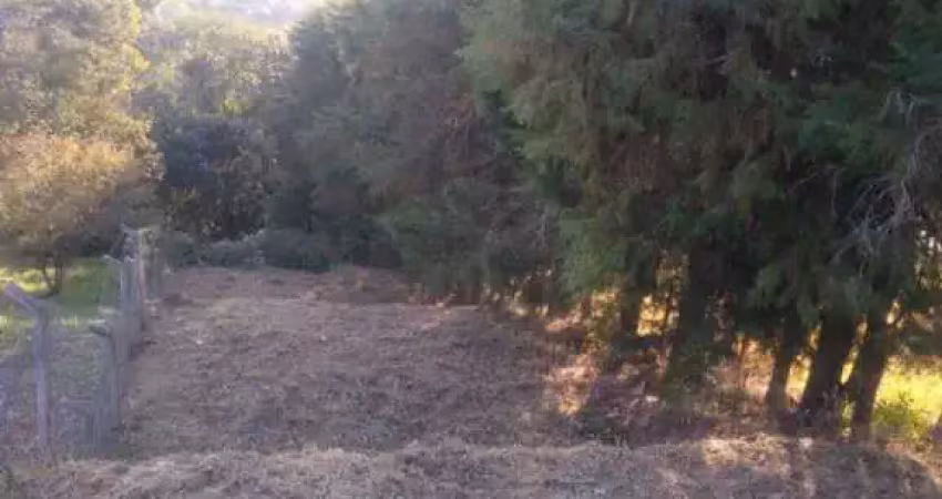 Terrenos para venda em jarinú no bairro parque florença
