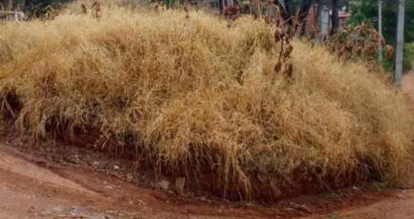 Terrenos para venda em Atibaia no bairro Jardim São Felipe