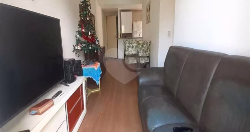 Apartamento com 3 quartos à venda em São Cristóvão - RJ