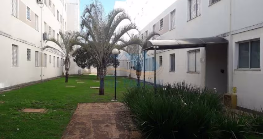 Apartamento - Ribeirão Preto - Parque São Sebastião - Região Leste