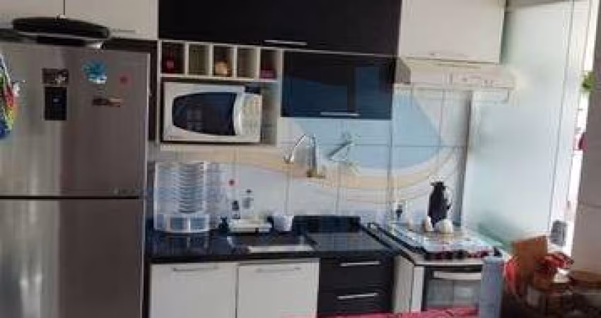 Apartamento - Ribeirão Preto -  Monte Alegre - Região Oeste