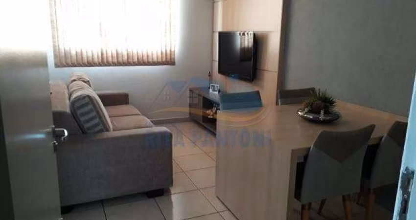 Apartamento - Ribeirão Preto - Ipiranga - Região Norte