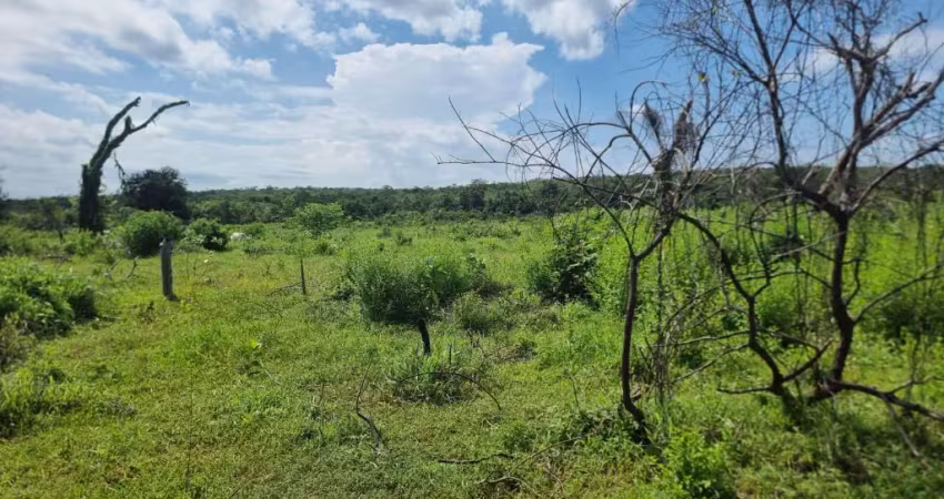 Azenda a venda 300 hectares localizada entre riacho frio e corrente terreno de vazante