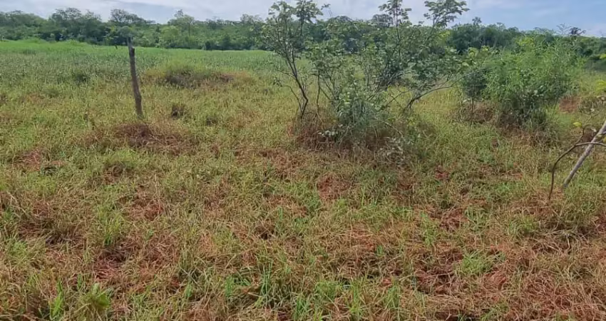 Faz a venda fica a 14 km da cidade de corrente  com 199 há cerca com arame farpado