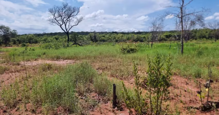 Faz.vereda do riacho grande-corrente  piauí  368 ha de área total