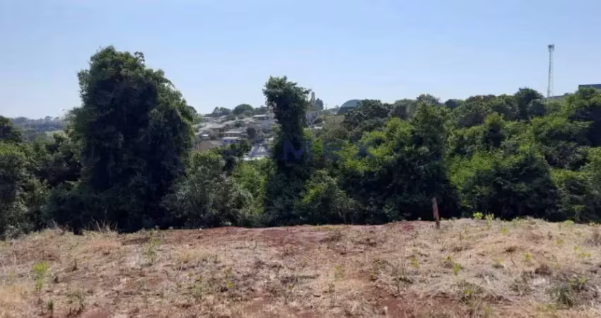 Terreno à venda na Rua dos Juriti, Planalto, Pato Branco
